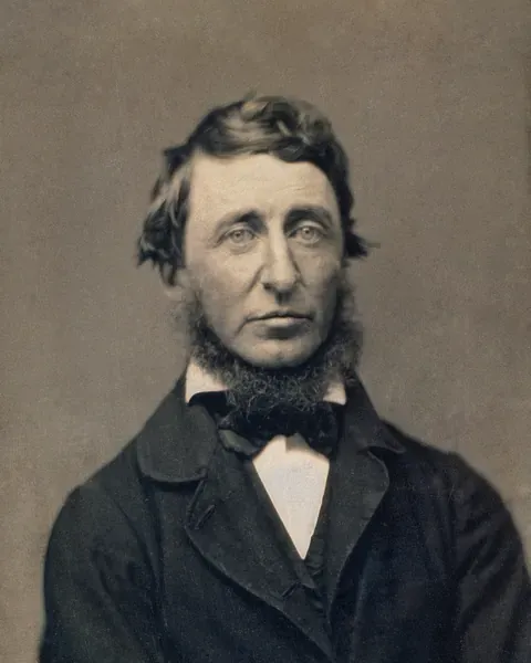 Portrait de Henry David Thoreau